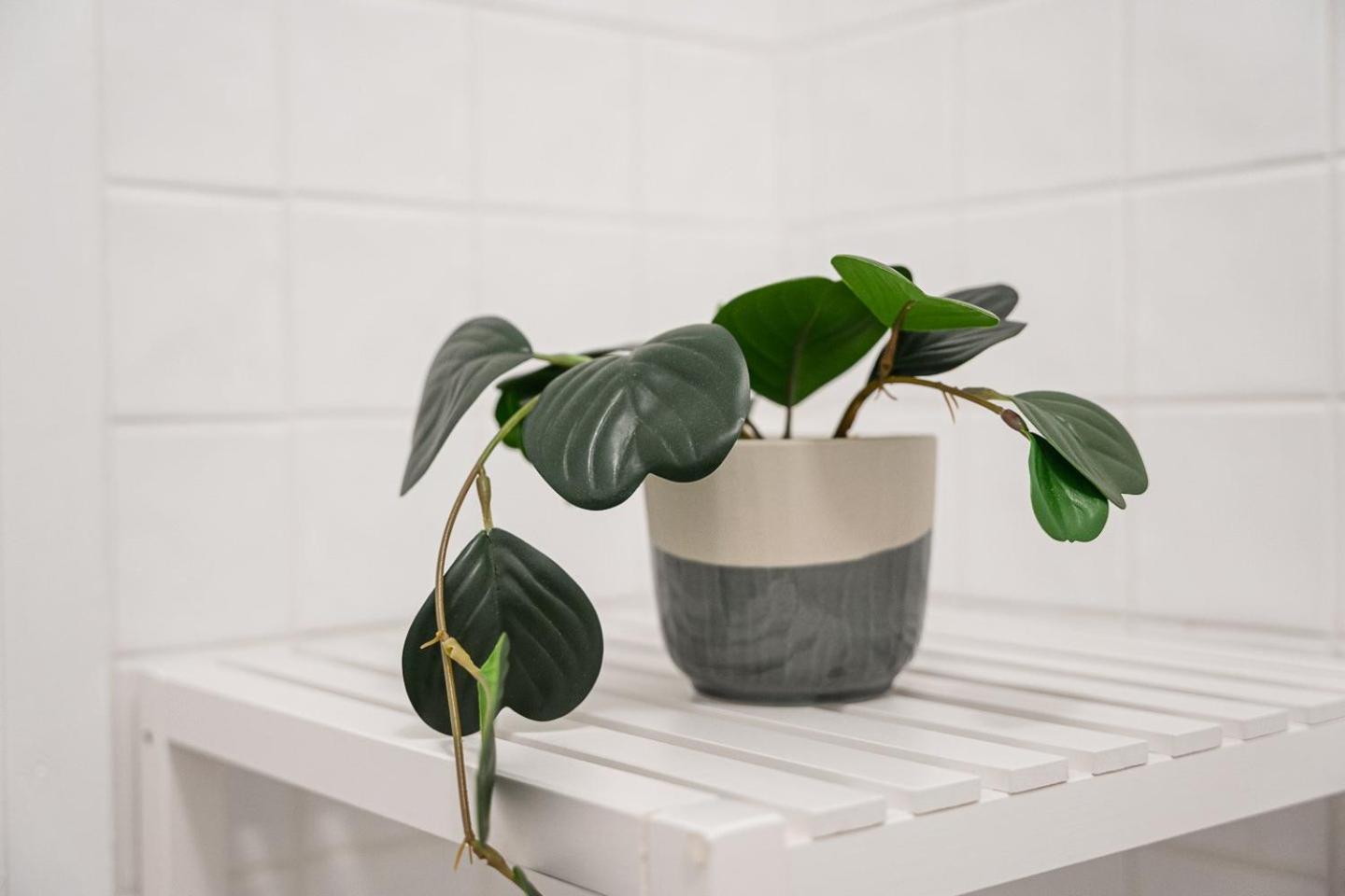 Guestready - A Warm City Refuge In Cedofeita 波尔图 外观 照片